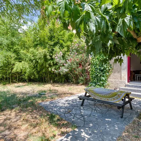 Chez Un Ornithologue En Camargue